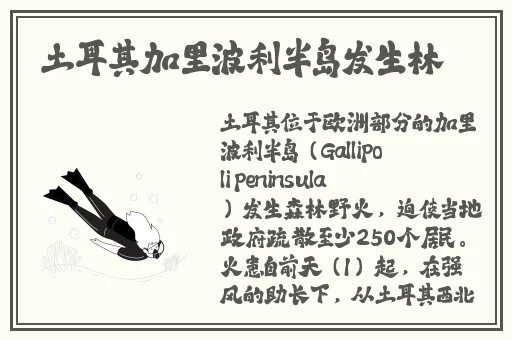 免费果冻传媒2021精品入口东营